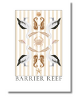 Barrier Reef Gift Bundle