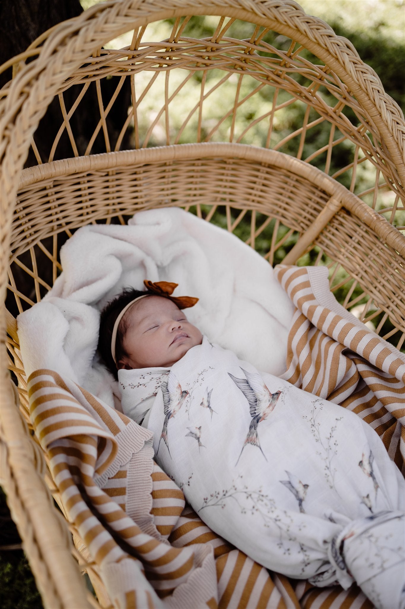 Newborn Photoshoot Melbourne