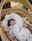 Newborn Photoshoot Melbourne