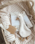 Nightingale & Waddles Gift Bundle